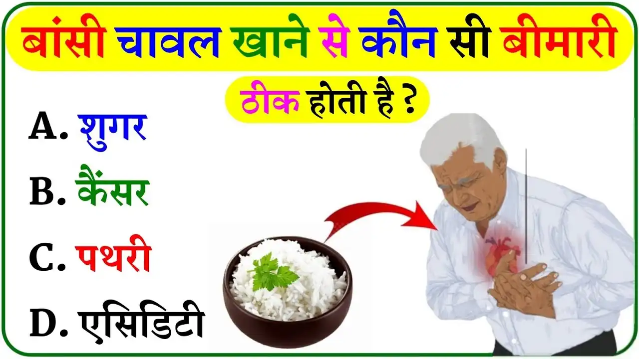 GK In Hindi: बांसी चावल खाने से कौन सी बीमारी ठीक होती हैं?
