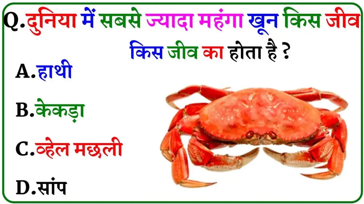 Gk quiz in hindi
