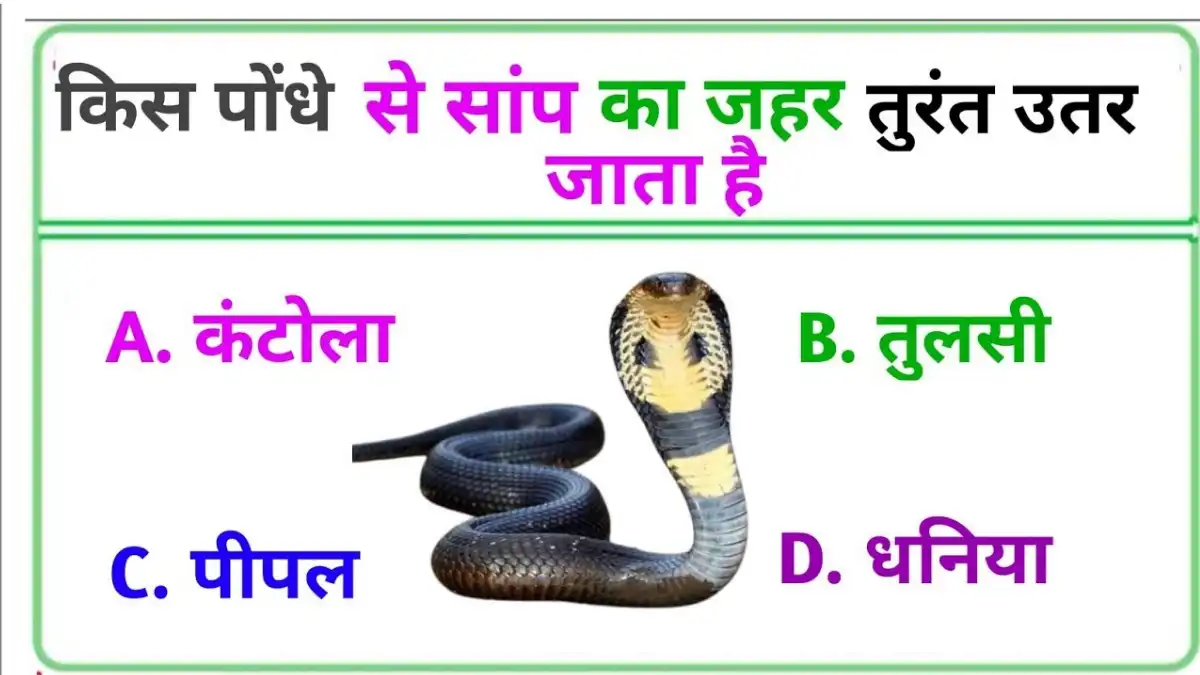 General knowledge in Hindi