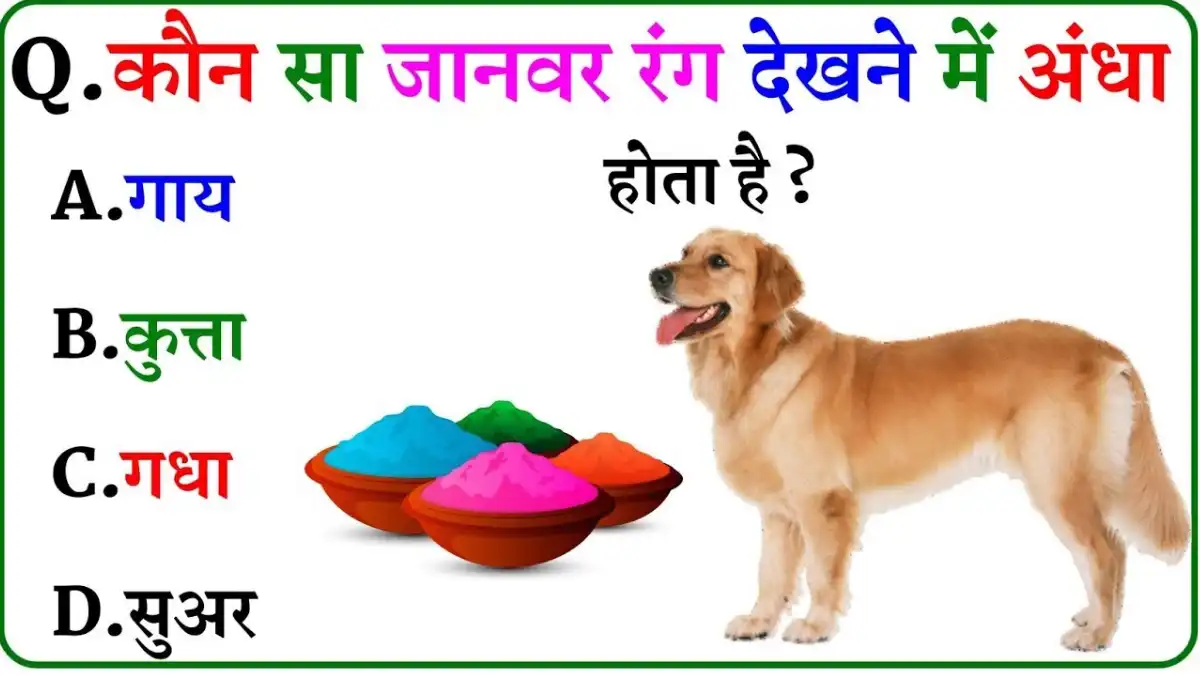 GK Questions in Hindi
